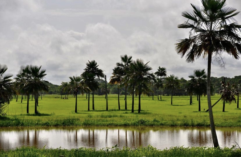 Esteros de Camaguán, Guárico, Venezuela